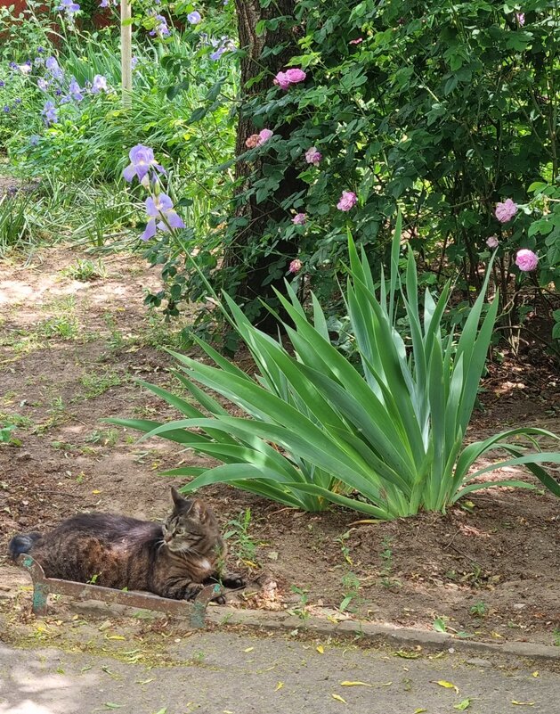 В наших палестинах :) - Наталья 