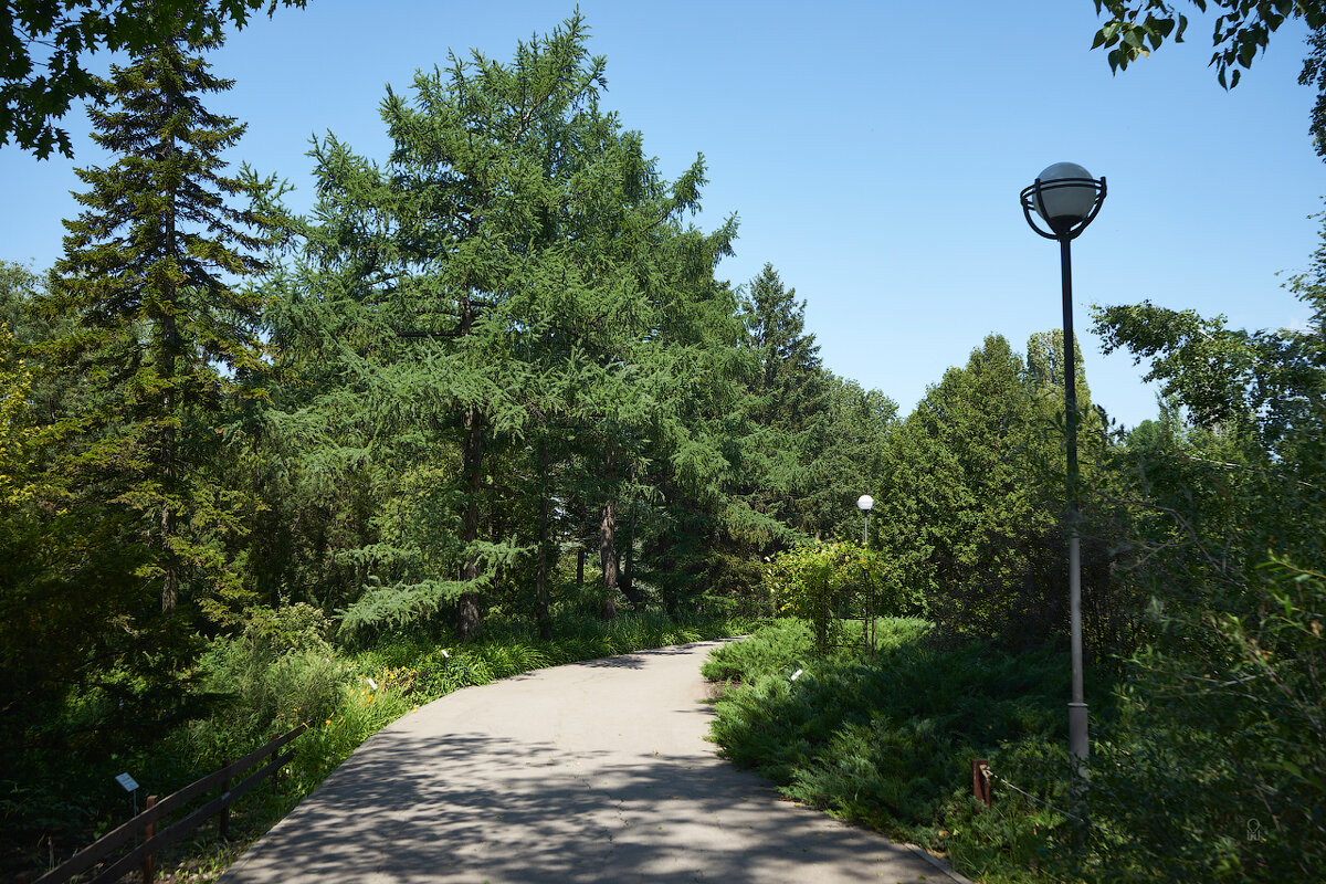 Ботанический сад 01 - Олег Манаенков Ботанический сад 01 - Олег Манаенков