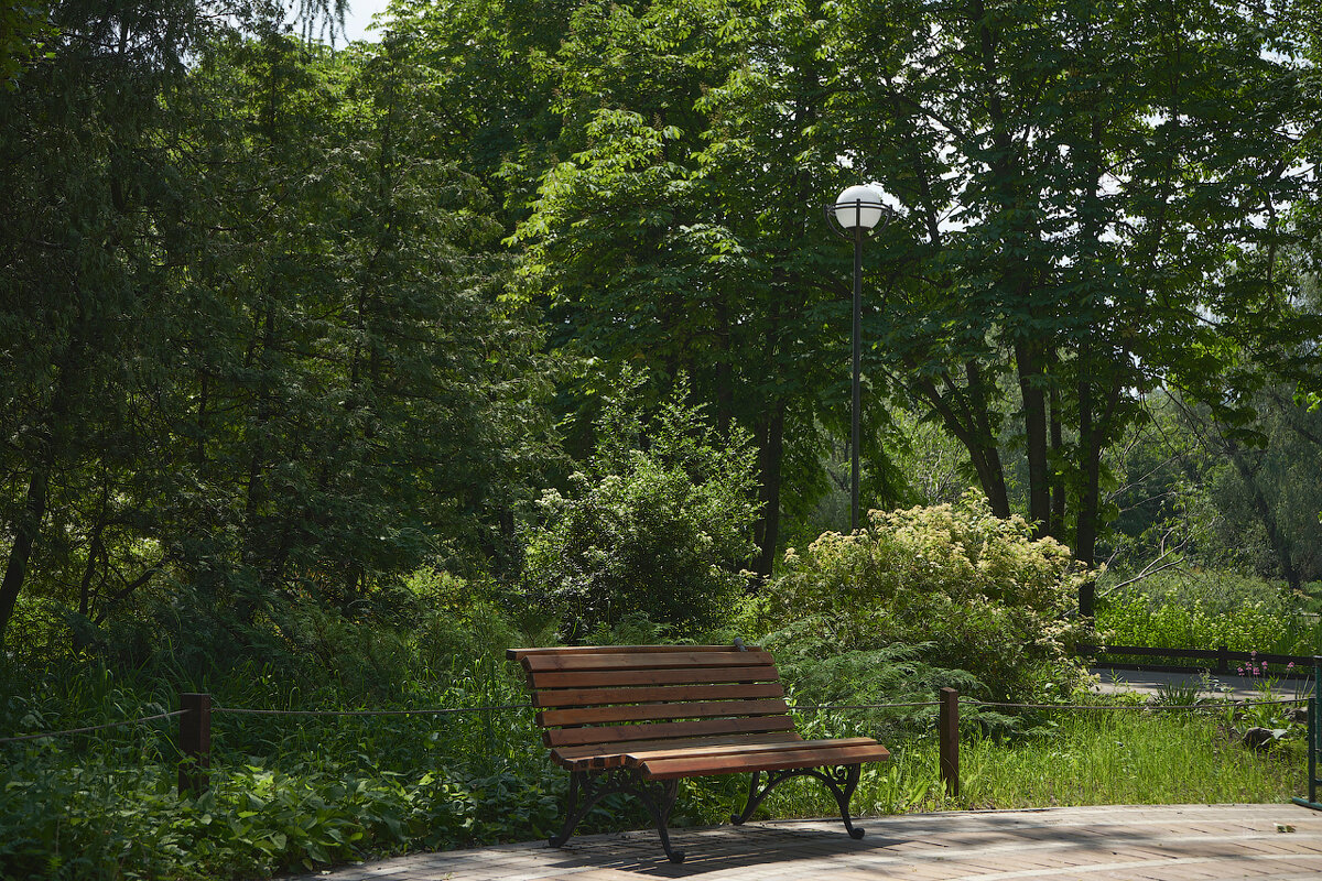 Ботанический сад 04 - Олег Манаенков