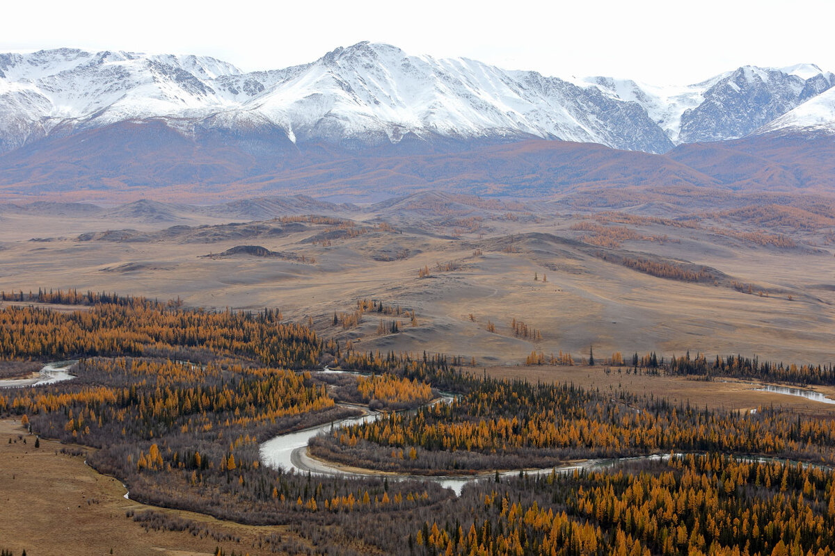 *** - владимир *** - владимир