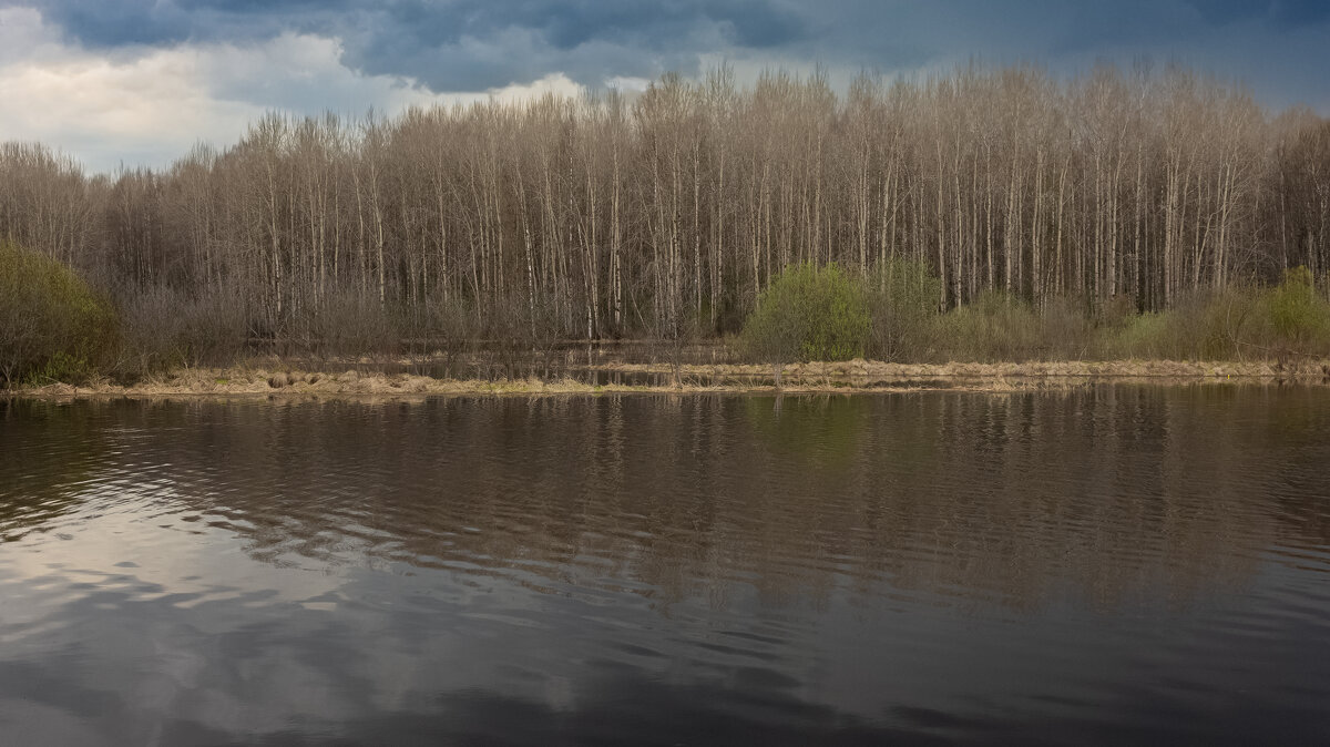 Aspen forest on the bank of the deep Bolshoy Puchkas River on a cloudy spring day | 9 - Sergey Sonvar Aspen forest on the bank of the deep Bolshoy Puchkas River on a cloudy spring day | 9 - Sergey Sonvar