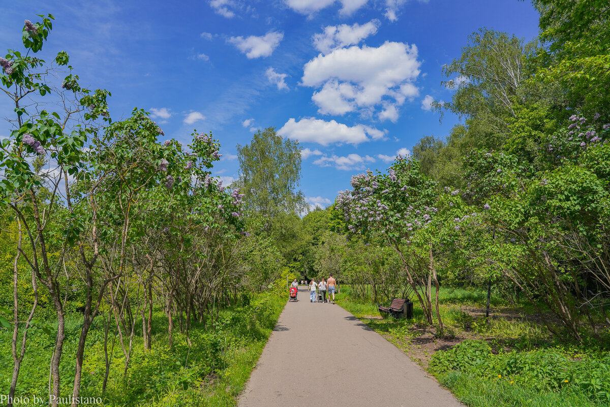 В конце мая... - Владимир Жданов В конце мая... - Владимир Жданов