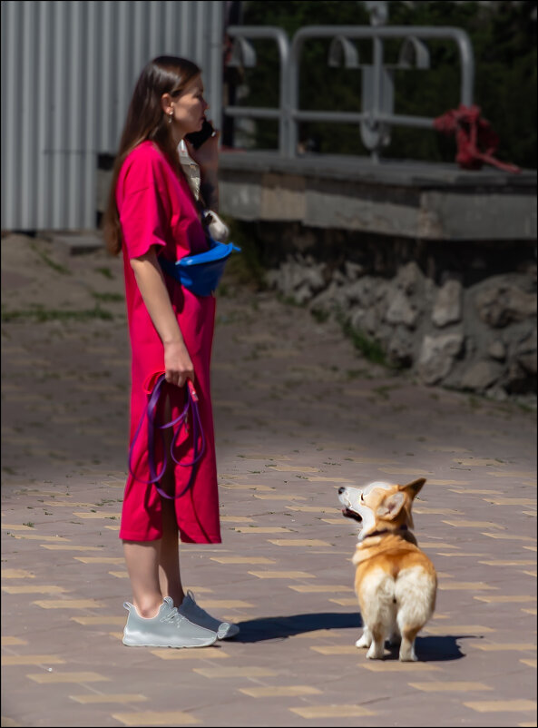 Пошли уже! - Александр Тарноградский
