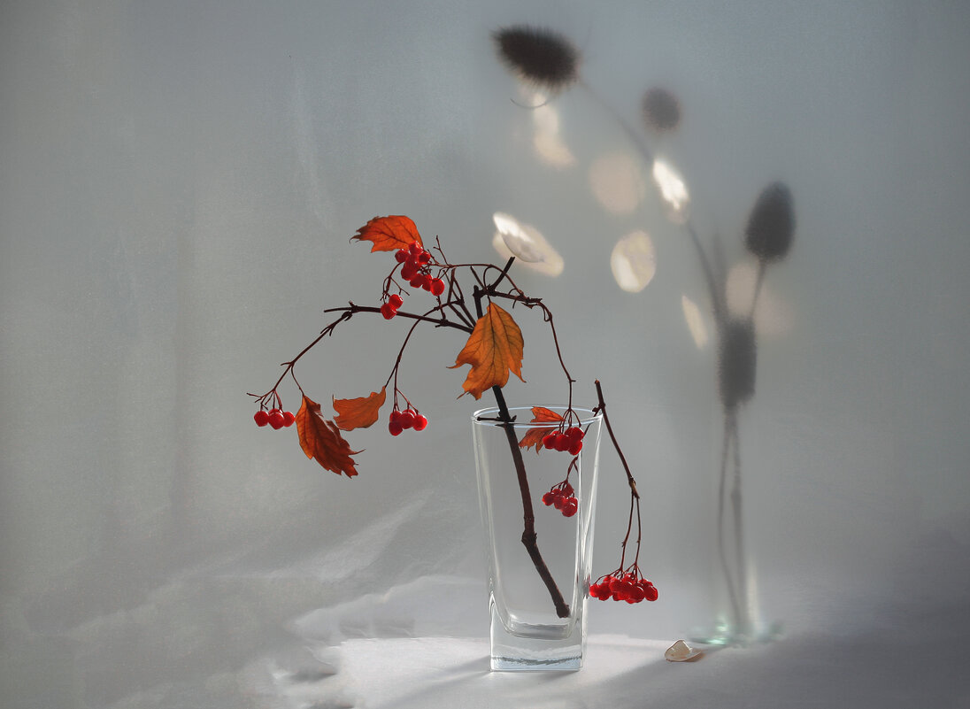 Осенний свет - Olenka Осенний свет - Olenka