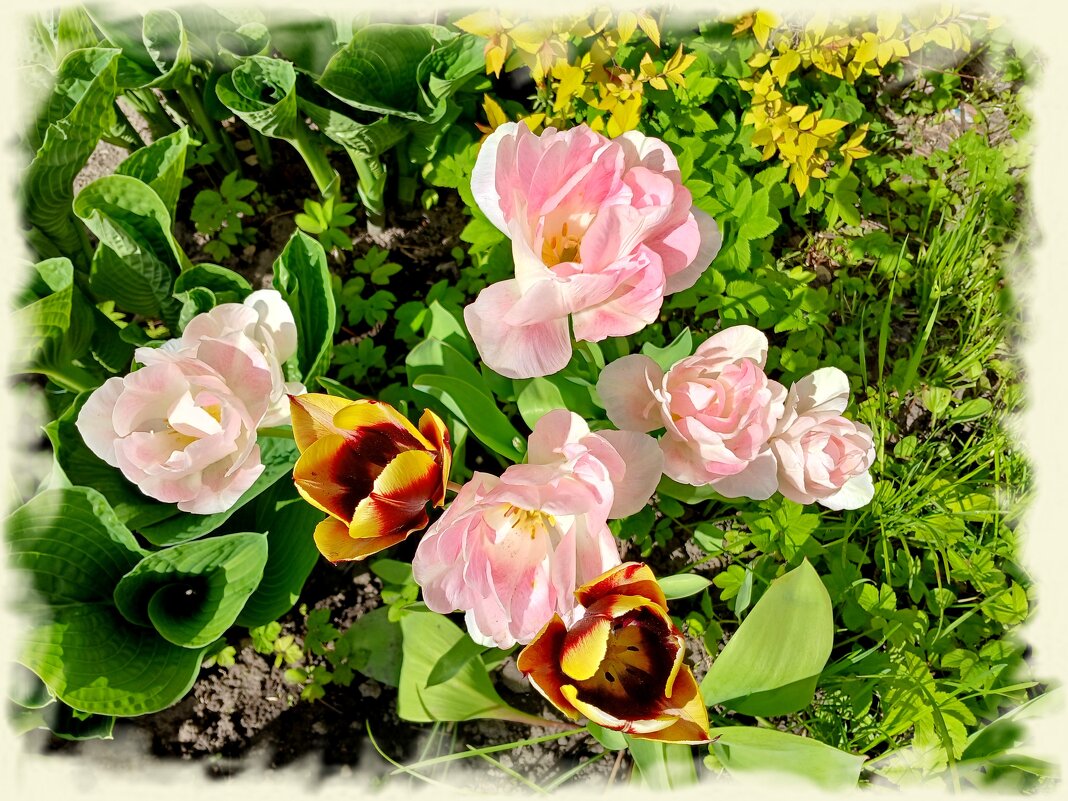 Отцветает вся красота. - Лия ☼ Отцветает вся красота. - Лия ☼