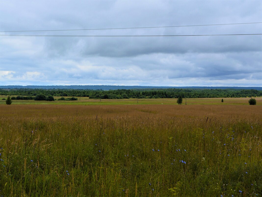Ядрин. Поля северо-западных окрестностей города летом. - Пётр Чернега Ядрин. Поля северо-западных окрестностей города летом. - Пётр Чернега
