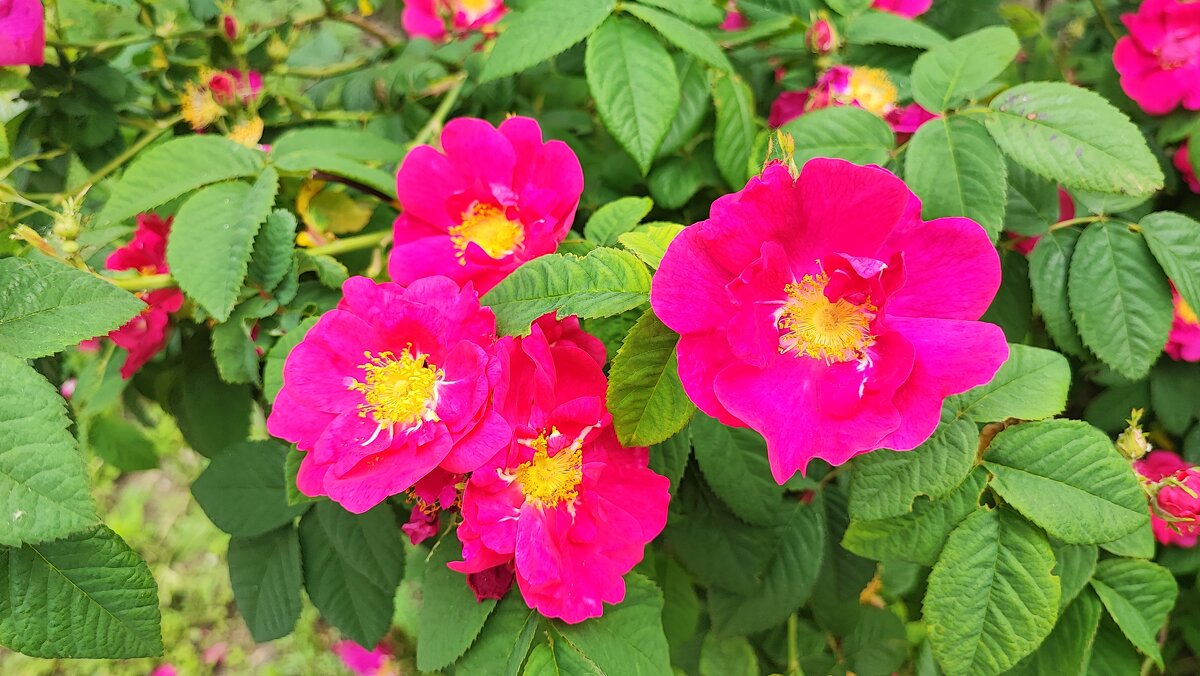 ,,, - Сергей Тимоновский