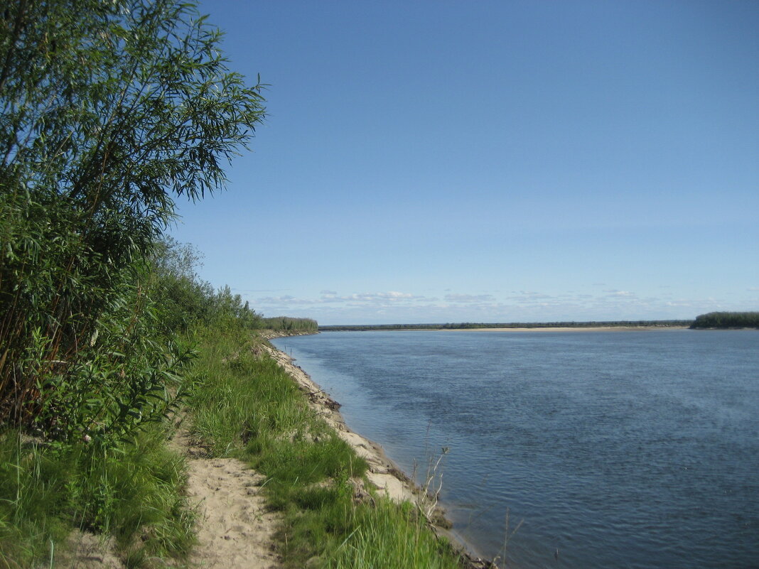 Лето - Anna Ivanova