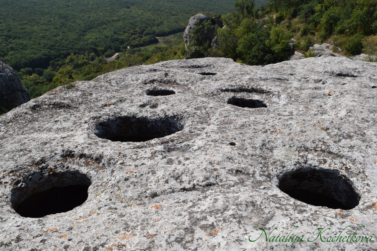 Природа Крыма - Amazing Cosmea