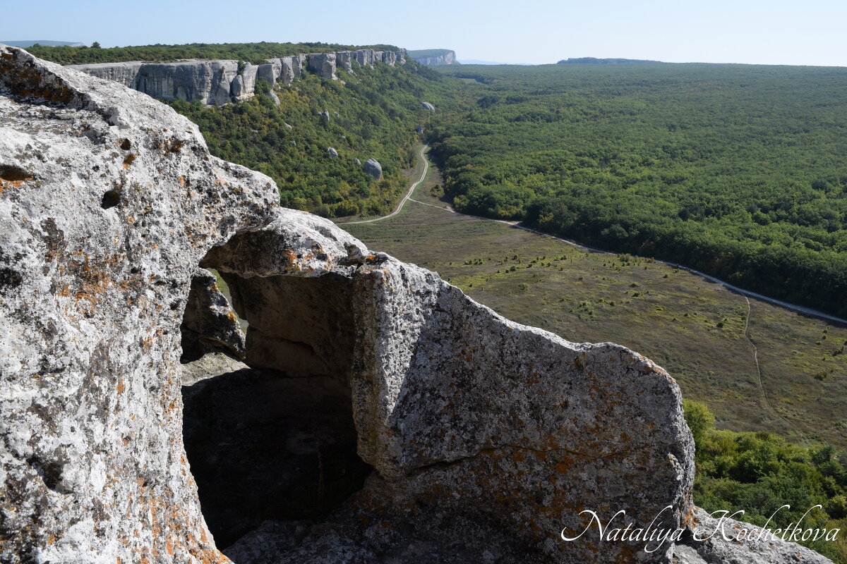 Природа Крыма - Amazing Cosmea