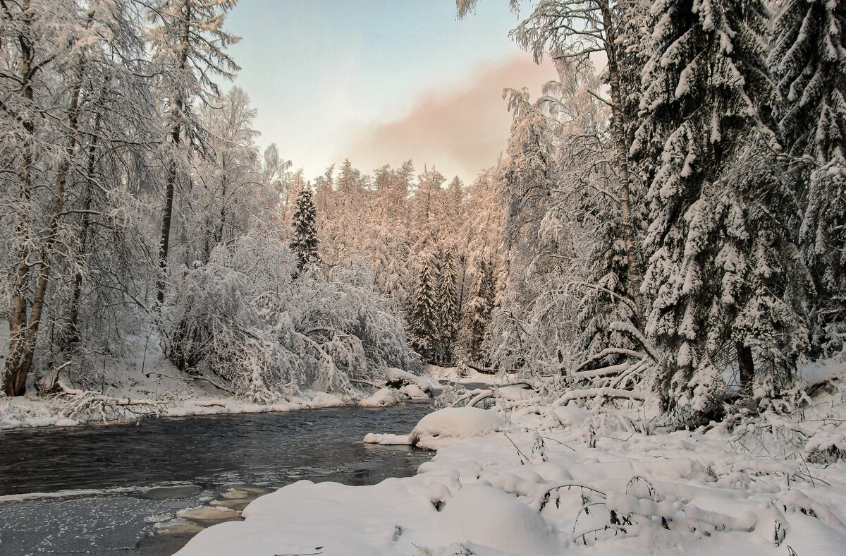 Линдуловская роща - skijumper Иванов Линдуловская роща - skijumper Иванов