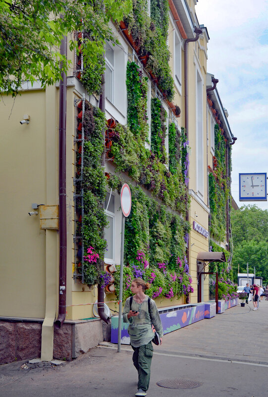 Фасад - Oleg4618 Шутченко Фасад - Oleg4618 Шутченко