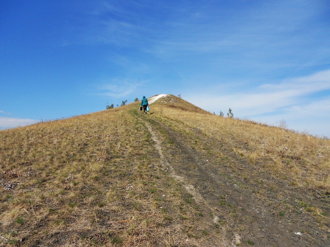 ............ - Елена Шаламова