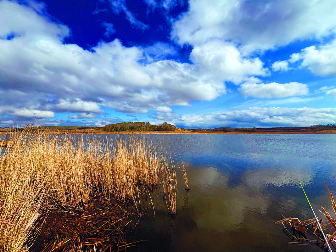 . - Иннокентий Авдонин