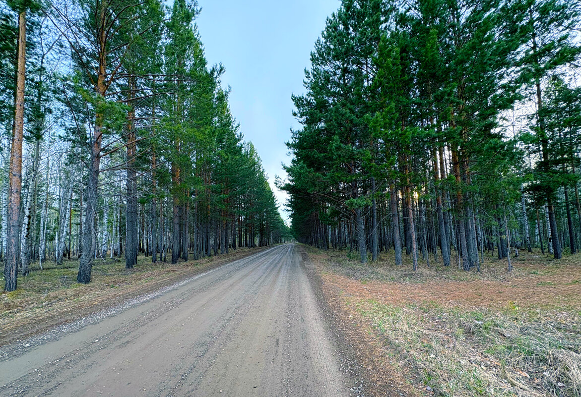 разведка окрестностей 2 - Иннокентий Авдонин разведка окрестностей 2 - Иннокентий Авдонин