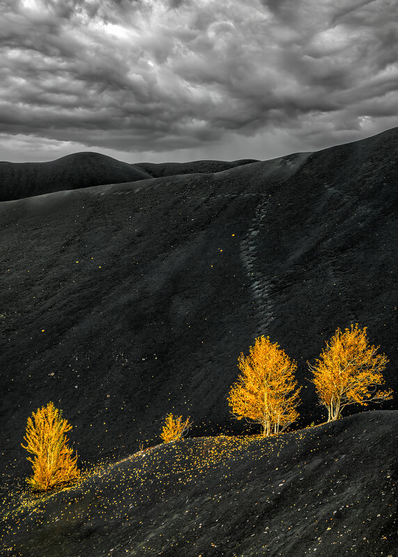 дюны - александр 