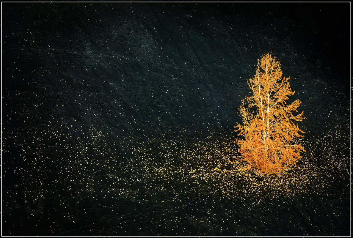 одиночество - александр одиночество - александр