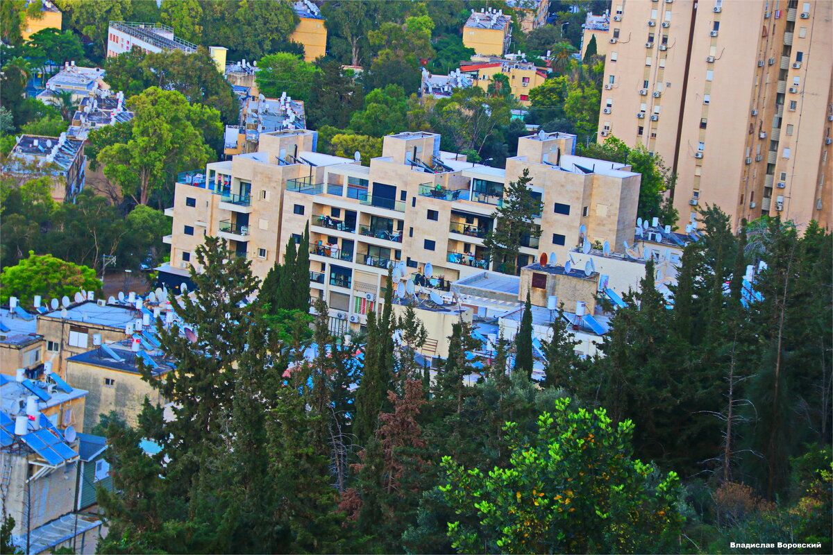 Хайфа 2025 - Владислав Воровский 