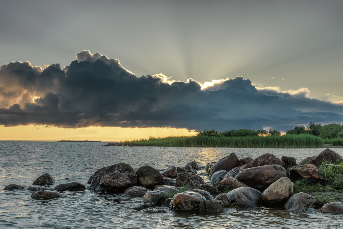 Про Питер. Рассвет - Владимир Колесников