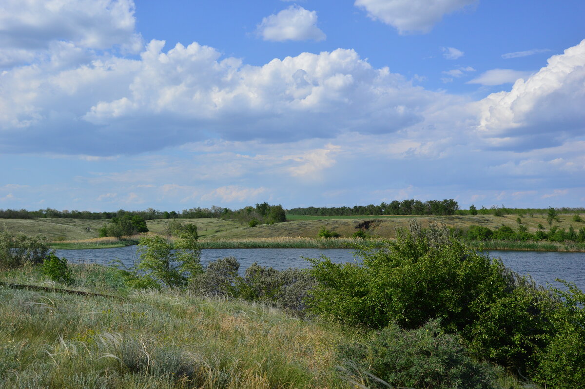 Местные виды. - Виктор 