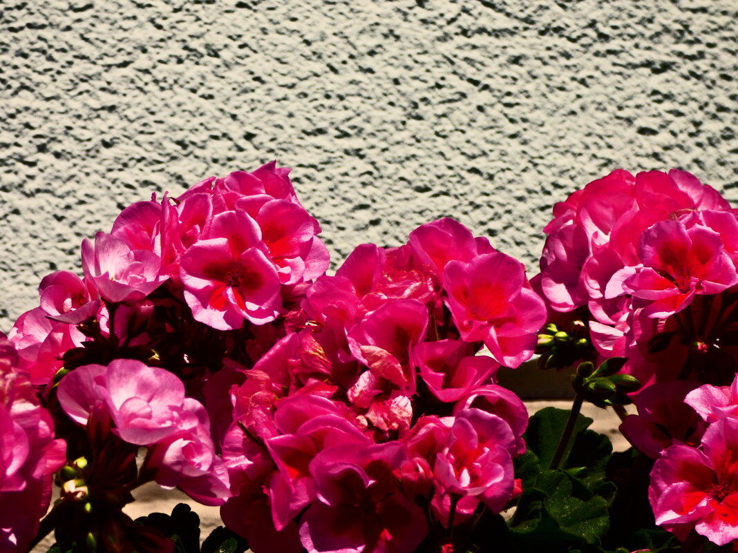 Летние этюды 2 - Алексей Кузнецов