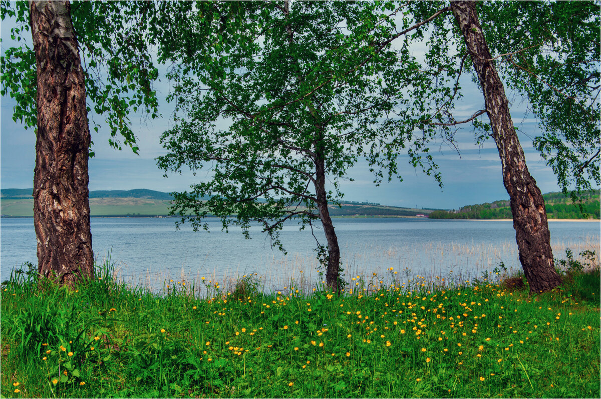 Вот и лето пришло.. - Алексей Мезенцев Вот и лето пришло.. - Алексей Мезенцев