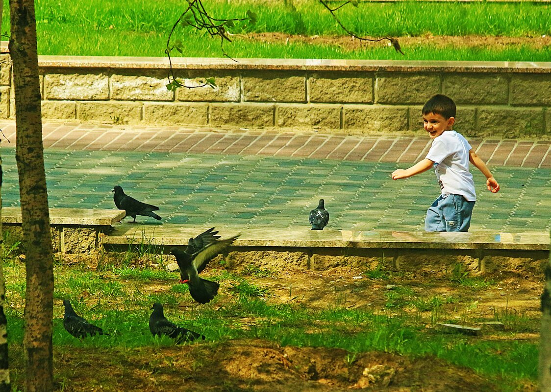 Июнь...Малыш и голуби! - Владимир 