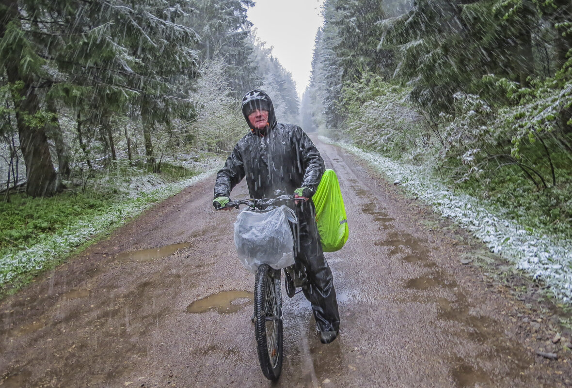За Волоколамском 1 мая выпал снег - Сергей Цветков