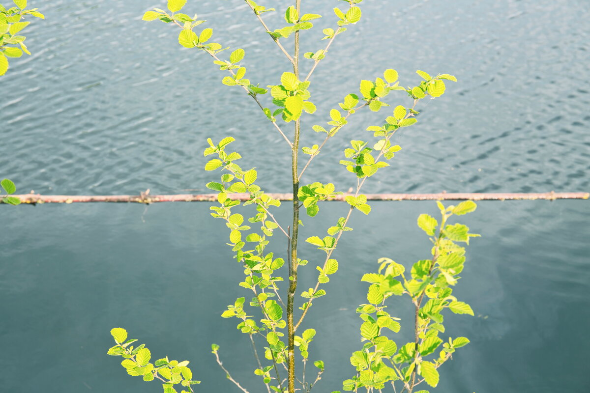Назва. отсу. - Денис Безногов
