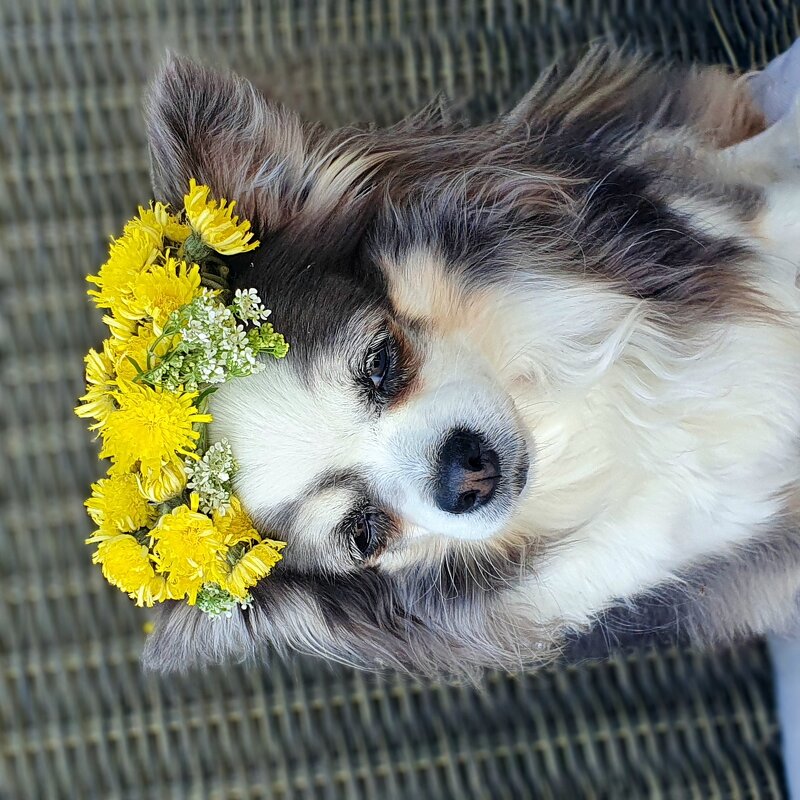 Любимая. - Галина Левина