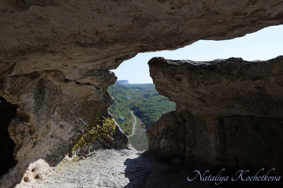 Природа Крыма - Amazing Cosmea
