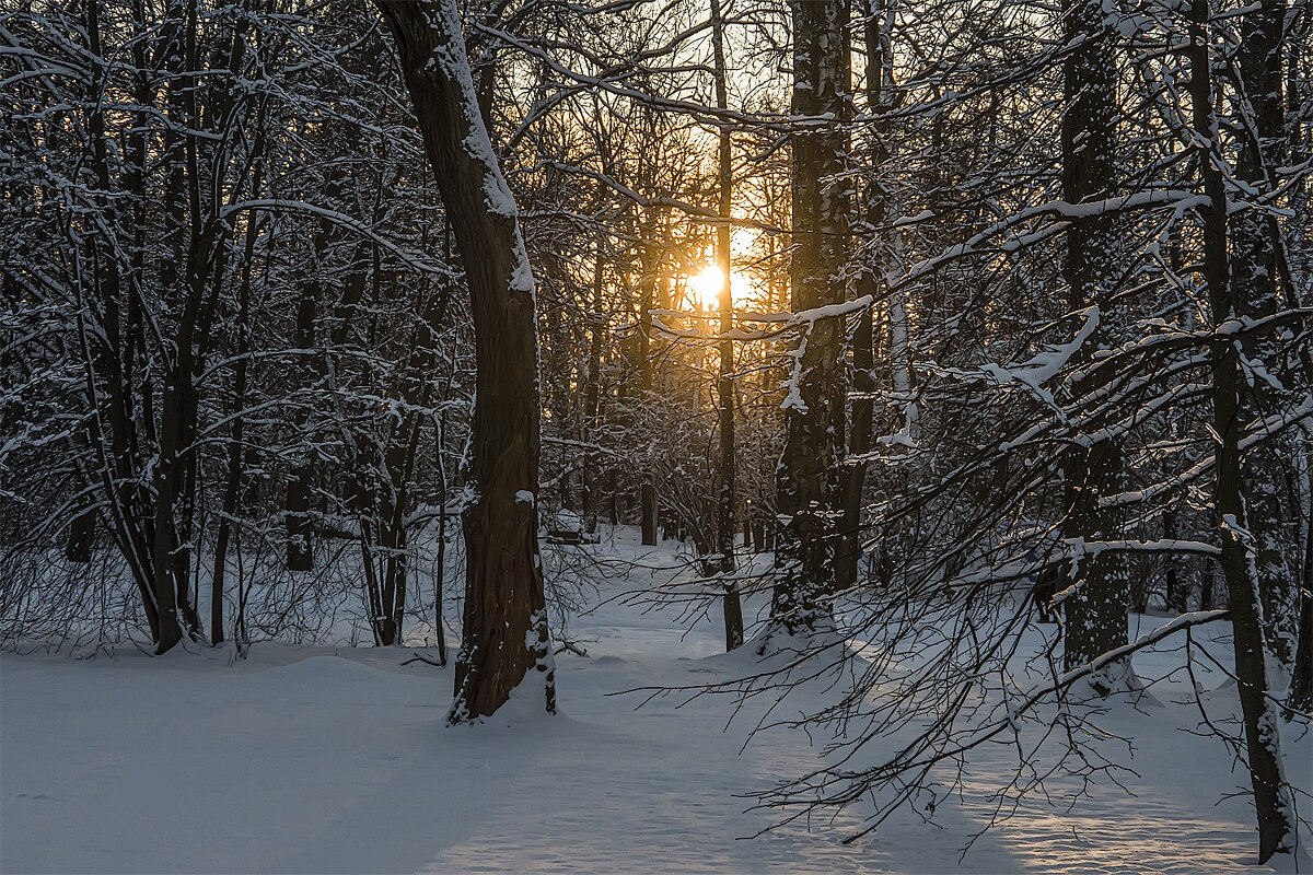 Зима. - Александр Зима. - Александр