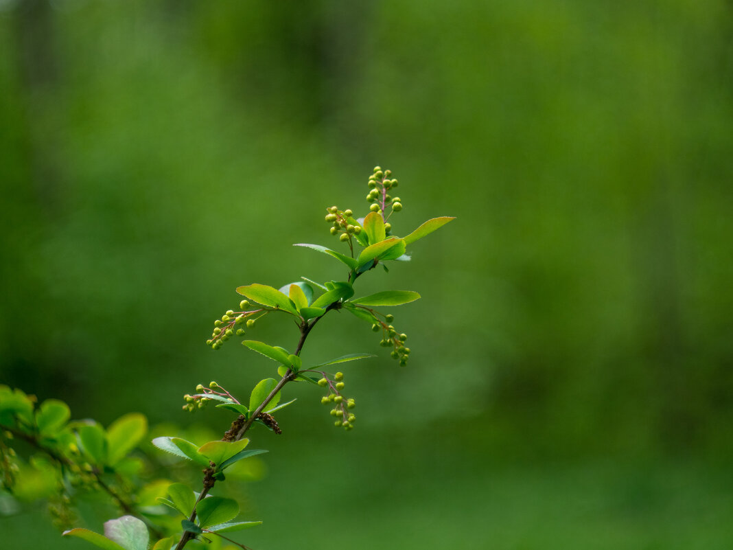 ___ - Yuriy V ___ - Yuriy V