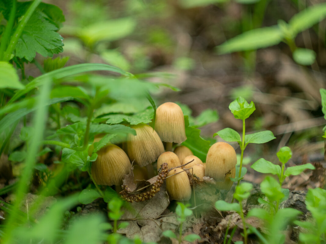 ___ - Yuriy V ___ - Yuriy V