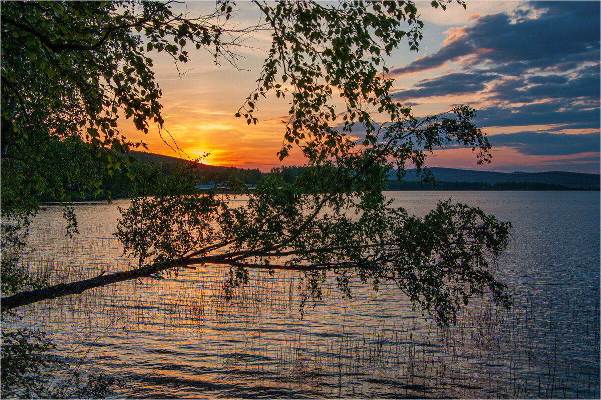 Тёплый летний вечер.. - Алексей Мезенцев Тёплый летний вечер.. - Алексей Мезенцев