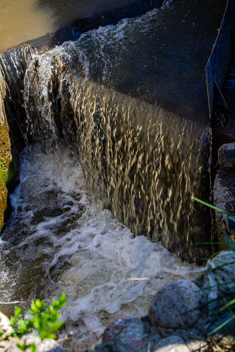 В арыке - Светлана SvetNika17 В арыке - Светлана SvetNika17