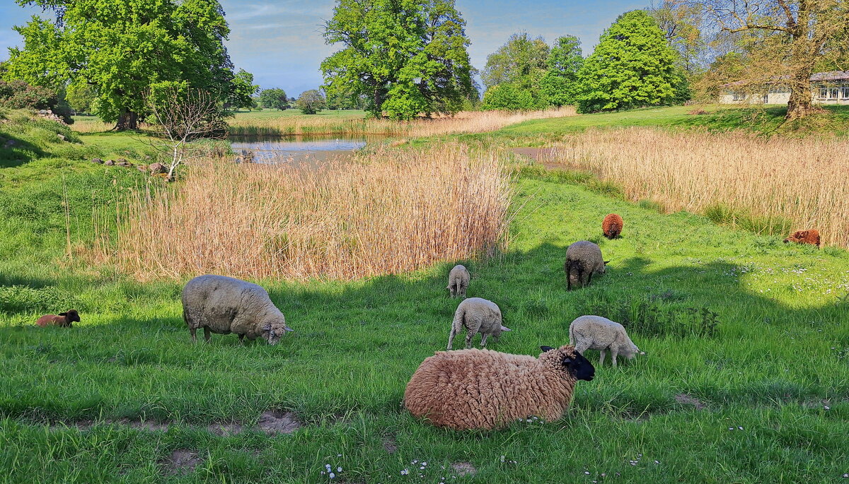 Майская пасторалька - Андрей K. Майская пасторалька - Андрей K.
