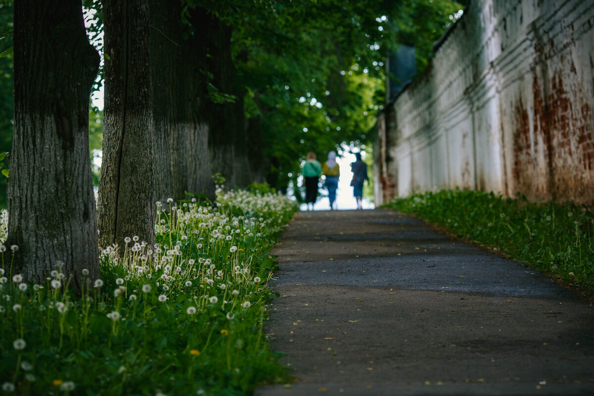*** - Вячеслав Владимирович