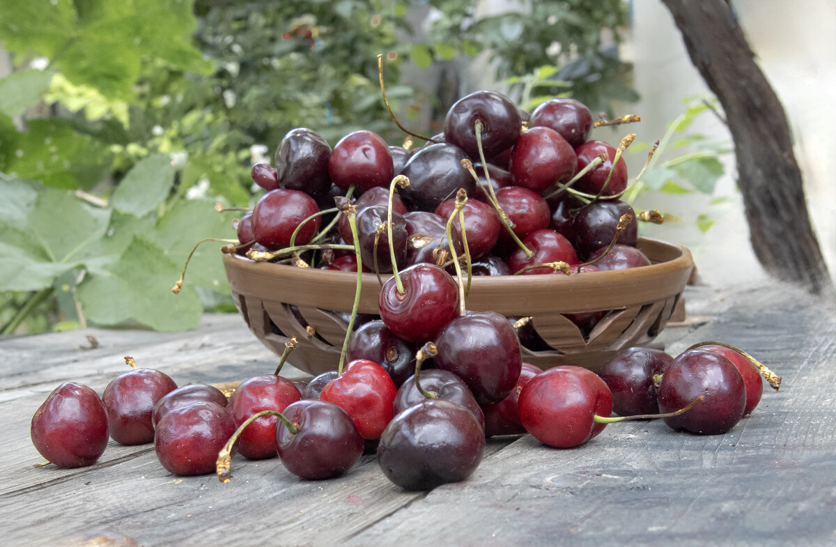 Две сладких крымских пригоршни... - Валерий Басыров Две сладких крымских пригоршни... - Валерий Басыров