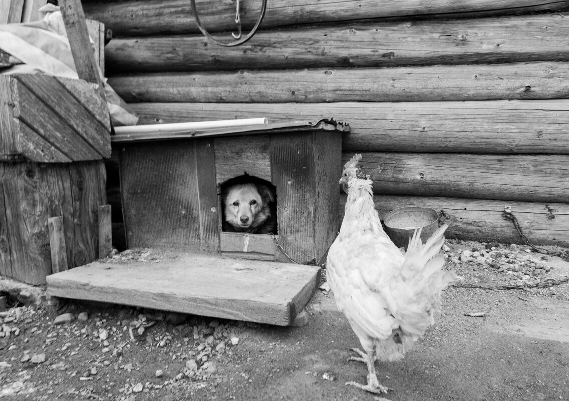 ** - Борис Руднев