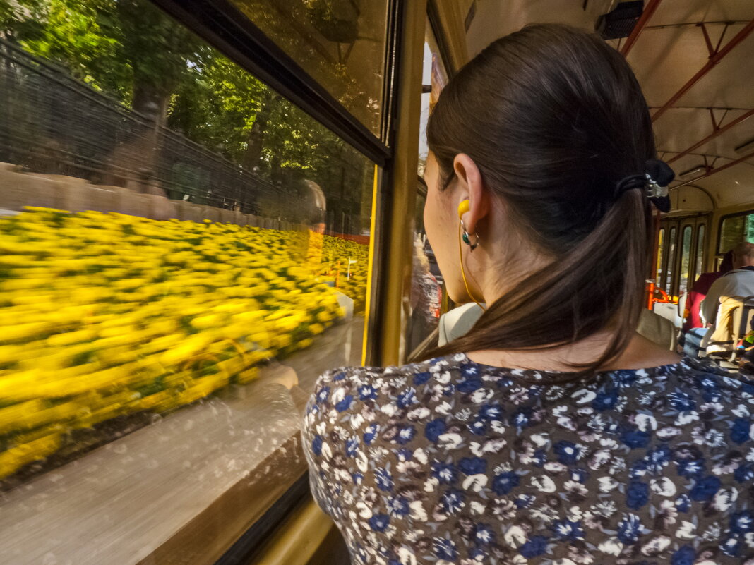 Летний маршрут - Наталья Rosenwasser