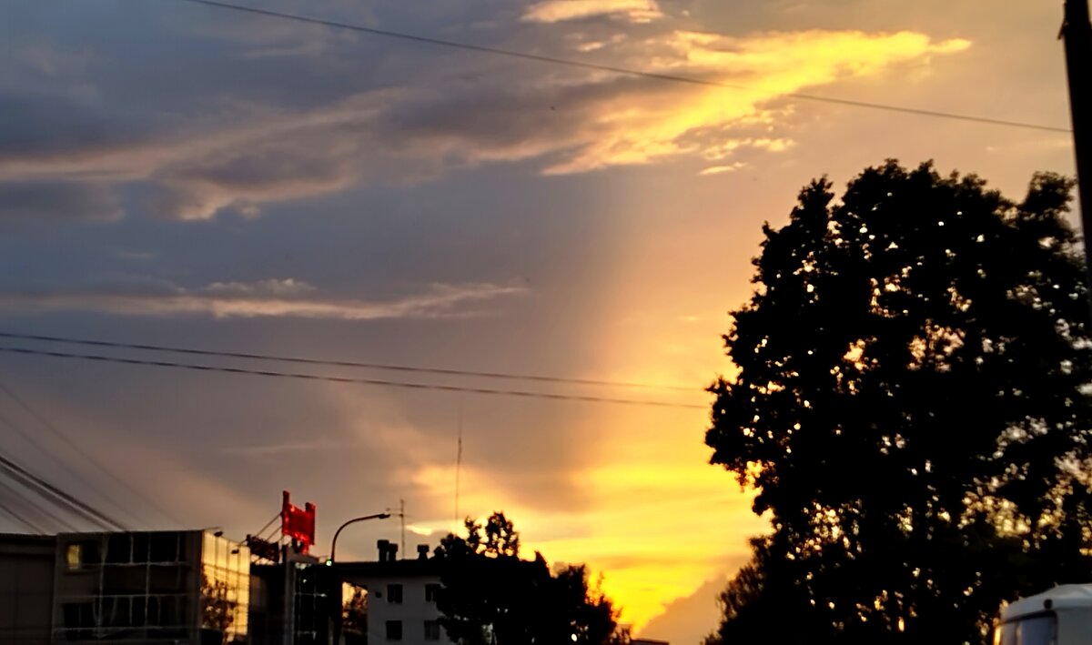 а вот и за 1 июня - светлана льдокова