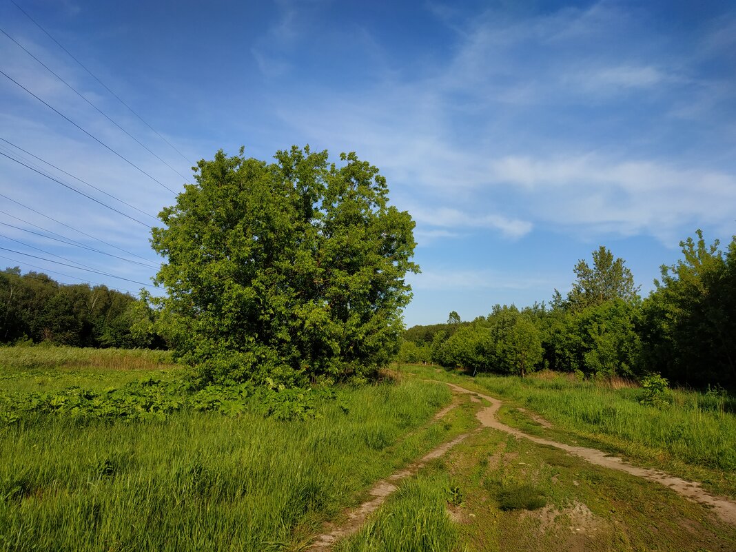Зарисовки неюного натуралиста - Андрей Лукьянов