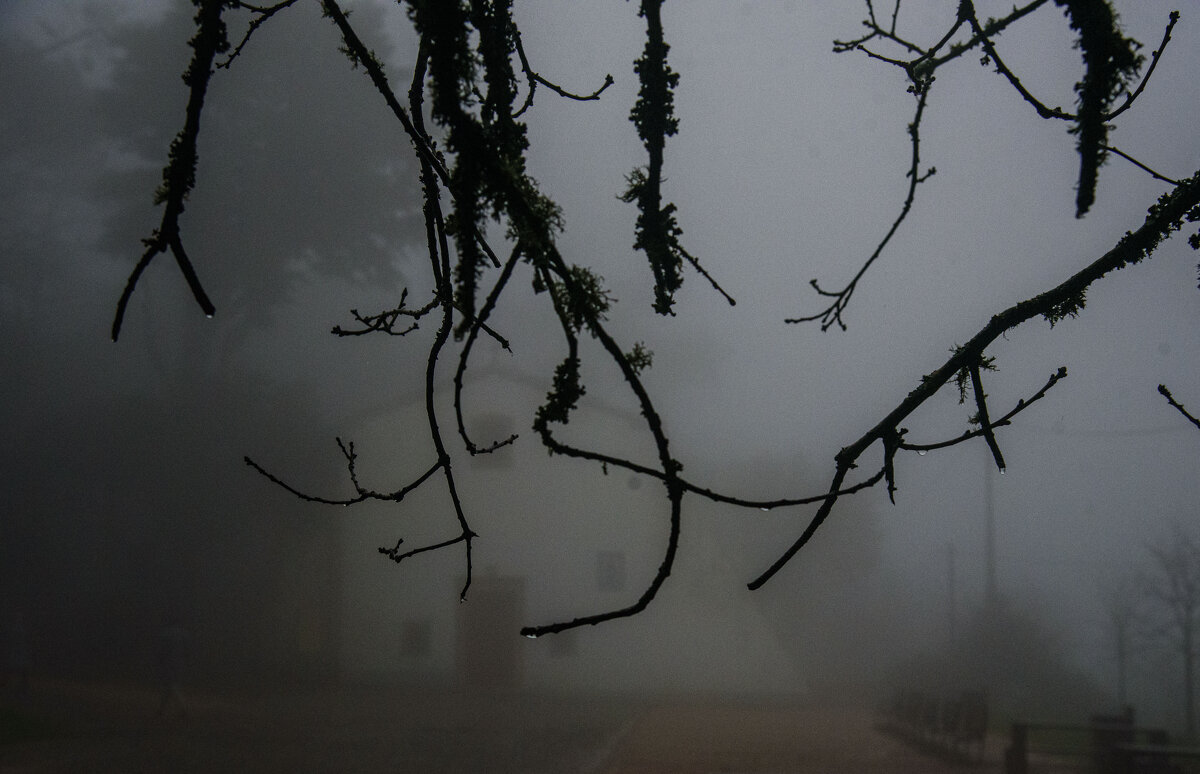 Португальский пейзажик - Осень Португальский пейзажик - Осень