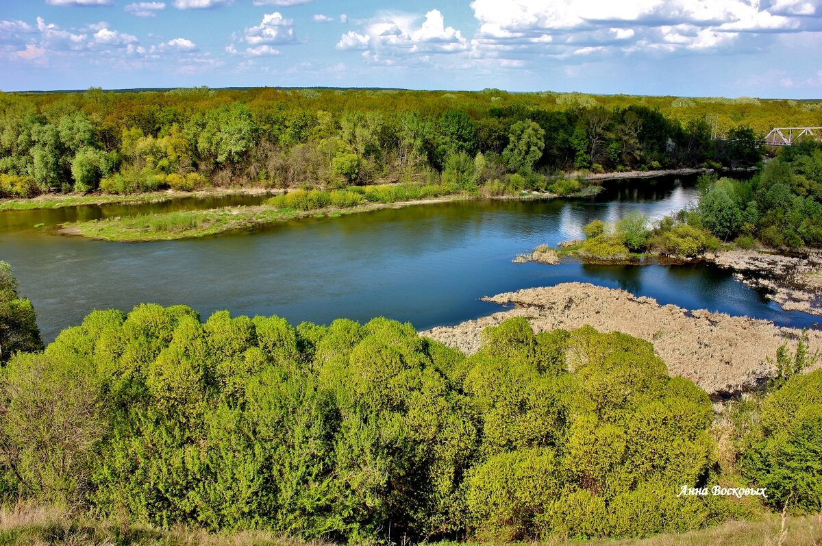 Природа Хопра. - Восковых Анна Васильевна Природа Хопра. - Восковых Анна Васильевна