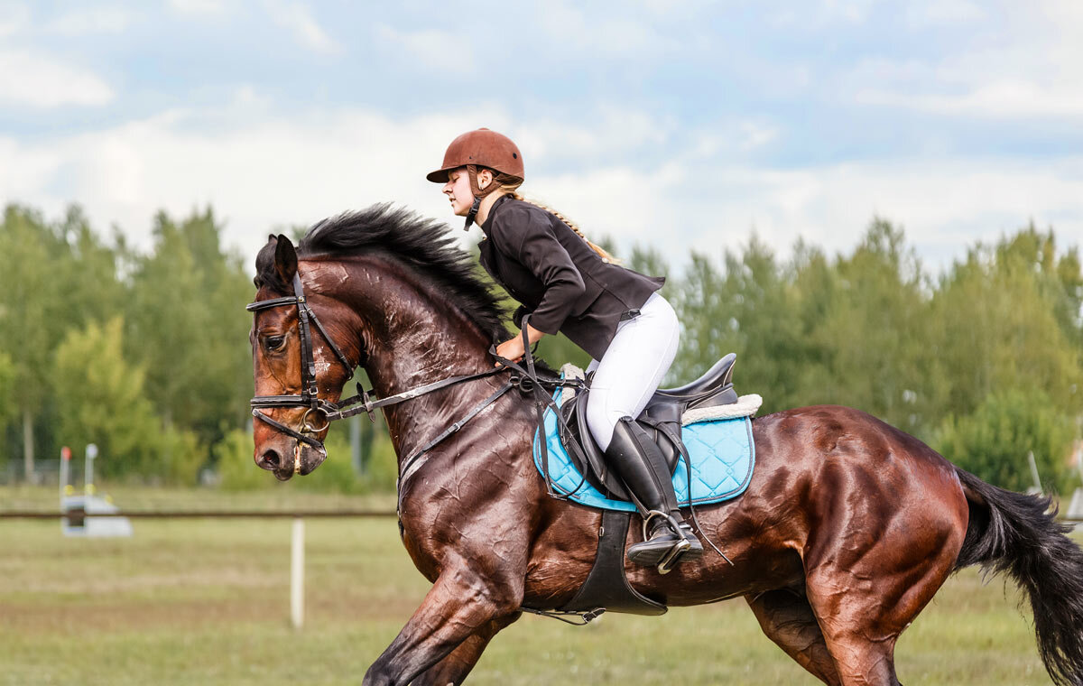 Конкур - SanSan 