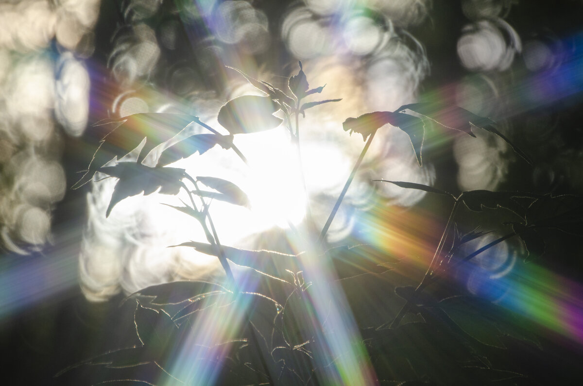 В лечах - Lyubov Busova