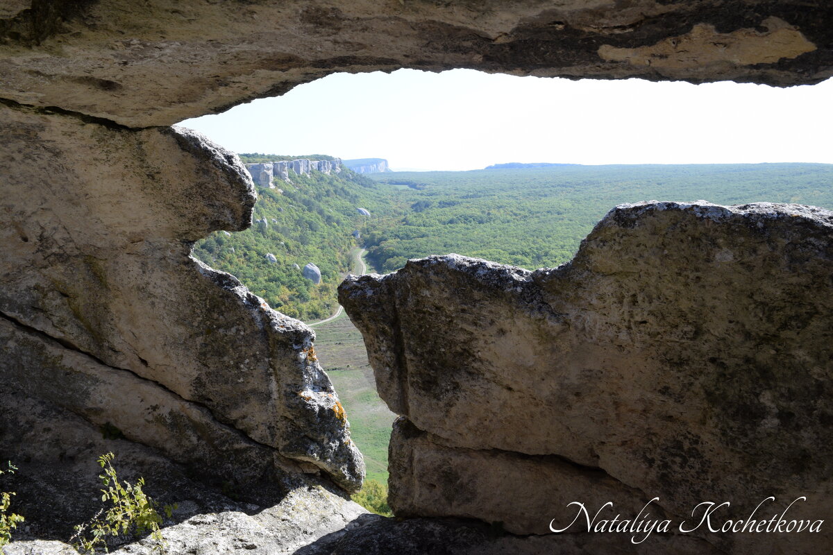 Природа Крыма - Amazing Cosmea