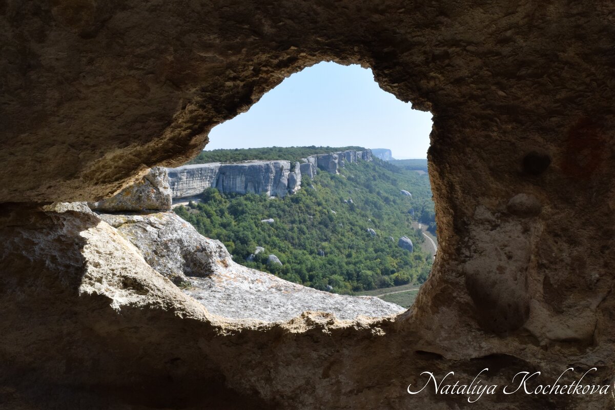 Природа Крыма - Amazing Cosmea