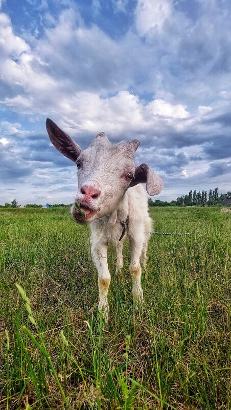 На закате - Оксана Н.